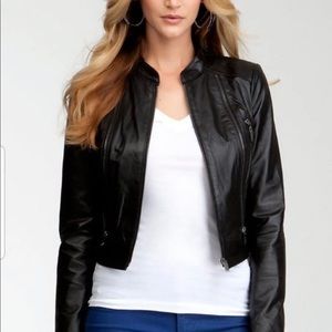 BEBÉ 100% Genuine Leather Jacket